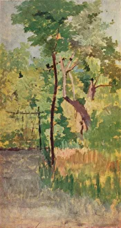 Tree and Woodpath, c19th century. Artist: Giovanni Fattori