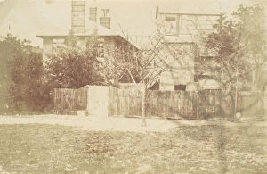 Back Yard Gallery: Tree in Yard, 1850s. Creator: Attributed to Samuel Buckle (
