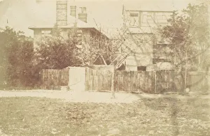 Tree in Yard, 1850s. Creator: Attributed to Samuel Buckle (