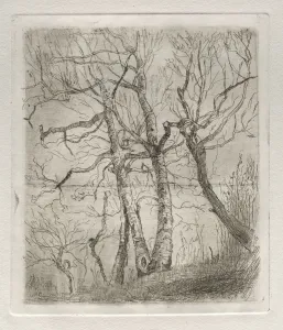 Otto H Bacher American Prints: Trees, 1878. Creator: Otto H. Bacher (American, 1856-1909)