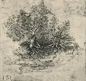 Drawings Of Leonardo Gallery: Two Trees on the Bank of a Stream, c1480 (1945). Artist: Leonardo da Vinci