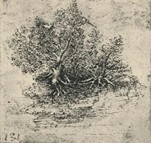 Reynal Hitchcock Collection: Two Trees on the Bank of a Stream, c1480 (1945). Artist: Leonardo da Vinci
