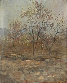 Bending Prints: Trees in Blossom, 1890-1895. Creator: Ladislav Mednyanszky