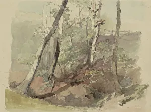 Vos Maria Prints: Trees bordered by a fence on the Hoog Oorsprong estate, 1864-c.1865. Creator: Maria Vos