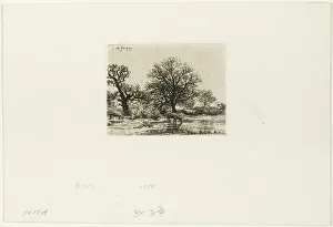 Trees and Cows near a Pond, 1850. Creator: Charles Emile Jacque