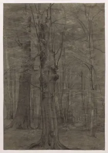Framing Lines In Graphite Prints: Trees. Creator: Leopold Bode (German, 1831-1906)
