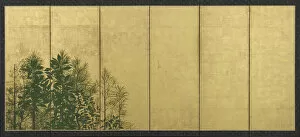 Byobu Gallery: Trees, Early 17th cen.. Artist: Master of I-nen Seal (active 1600-1630)