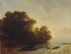 Trees at the lake