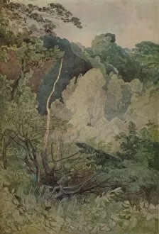 The Studio Gallery: Trees Near The Greta River, 1923. Artist: John Sell Cotman