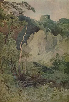 Cotman Prints: Trees Near The Greta River, 1923. Artist: John Sell Cotman