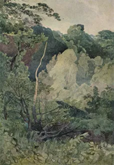 Cotman Prints: Trees near the Greta River, c19th century. Artist: John Sell Cotman
