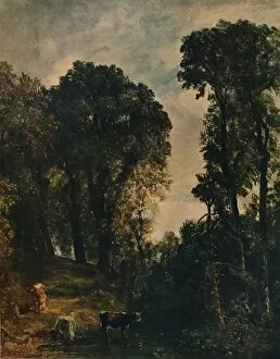 Yockney Gallery: Trees Near Hampstead Church, 1829, (c1915). Artist: John Constable