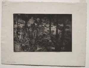 Armand Séguin Prints: Trees at Night, c. 1894. Creator: Armand Seguin (French, 1869-1903)