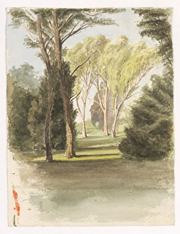 Ladislav Prints: Trees in the park, around 1870. Creator: Ladislav Mednyanszky