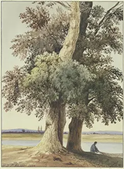 Shaded Prints: Two trees on the river, 1833. Creator: Ludwig Daniel Philipp Schmidt