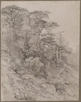 Framing Lines In Graphite Prints: Trees of a Rocky Hillside, late 1800s