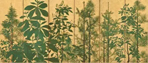 Trees. A six-section folding screens, Mid of 17th cen