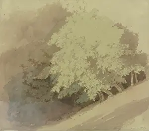 Sloped Prints: Trees on a slope near Braunfels, 1855. Creator: Carl Theodor Reiffenstein