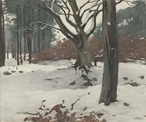 Witsen Willem Prints: Trees in the snow, c.1870-c.1923. Creator: Willem Witsen