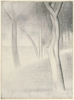 Tree Trunk Gallery: Trees (study for La Grande Jatte), 1884. Creator: Georges-Pierre Seurat
