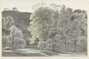 Trees in the Subiaco area, 1778-1847. Creator: Josephus Augustus Knip