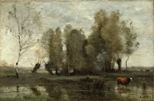 Farm Animal Prints: Trees in a Swamp, 1857. Creator: Jean-Baptiste-Camille Corot