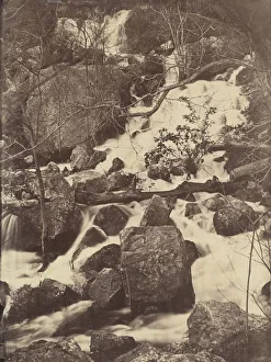 Charles N And Xe8 Prints: [Trees and Waterfalls], 1860-65. Creator: Charles Negre