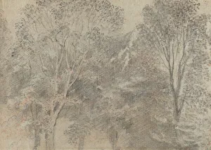 Jean Antonie Watteau Prints: Treetops [verso]. Creator: Jean-Antoine Watteau
