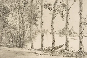 Trembles au bord de la Seine, ca. 1884. Creator: Felix Bracquemond Trembles au bord de la Seine, ca. 1884. Creator: Felix Bracquemond
