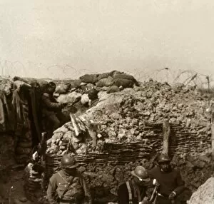 Barbed Wire Gallery: Trenches, Champagne, northern France, c1914-c1918
