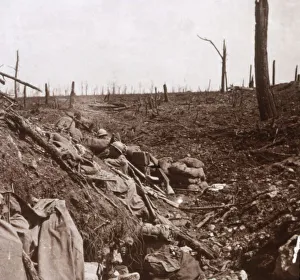 Grand Est Prints: Trenches, Vaux, northern France, c1914-c1918