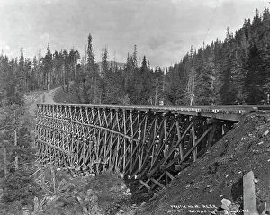Woods Collection: Trestle no. 19 of A.C. Railroad, between c1900 and 1927. Creator: Unknown