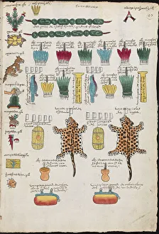 Mesoamerica Prints: Tribute in the Aztec Empire that the cities had to pay