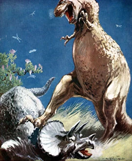 Horned Gallery: Triceratops, a horned dinosaur, held down by a Tyrannosaur, c1920