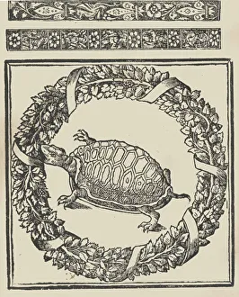 Tortoise Prints: Trionfo Di Virtu. Libro Novo... page 21 (verso), 1563. Creator: Matteo Pagano