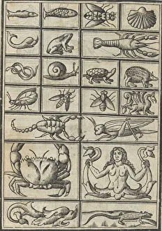 Scorpion Prints: Trionfo Di Virtu. Libro Novo... page 23 (verso), 1563. Creator: Matteo Pagano