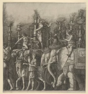 Gaius Julius Caesar Collection: The Triumph of Caesar: the Elephants, 1470-1525. Creator