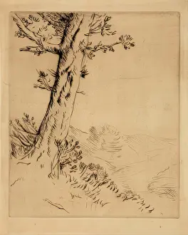 Ageing Prints: Tronc D'arbre, c1879. Creator: Alphonse Legros