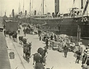 Docks Prints: Troopships at Port Tampa, Florida, USA, Spanish-American War, 10 June 1898, (1899)