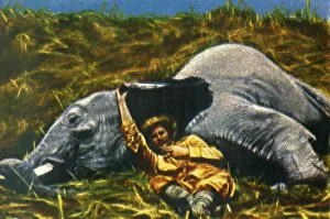 Safari Prints: Trophy-hunter with dead elephant, c1928. Creator: Unknown