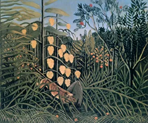 Tropical Forest: Battling Tiger and Buffalo, 1908. Artist: Henri Rousseau