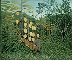 Tropical Prints: In a Tropical Forest. Struggle between Tiger and Bull, 1908. Creator: Henri Rousseau