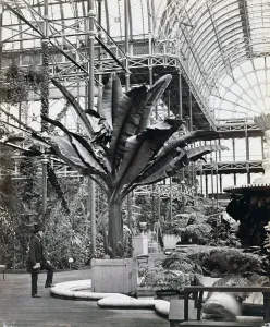 Philip Henry Prints: Tropical plants in the Egyptian Room, Crystal Palace, Sydenham, London, 1854. Artist