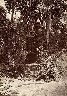 Tropical Prints: Tropical Scenery, The Brook El Bano, Chipigana, 1871. Creator: John Moran