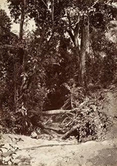 Panama Collection: Tropical Scenery, The Brook El Bano, Chipigana, 1871. Creator: John Moran