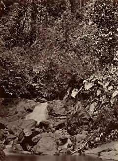 Panama Collection: Tropical Scenery, Cascade, Limon River, 1871. Creator: John Moran