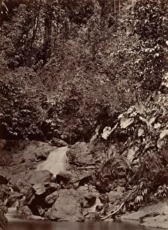 Moran John Prints: Tropical Scenery, Cascade, Limon River, 1871. Creator: John Moran