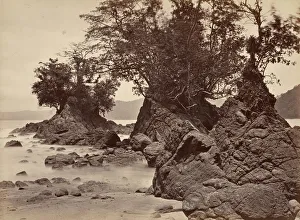 Moran John Prints: Tropical Scenery, Limon Bay - Low Tide, 1871. Creator: John Moran