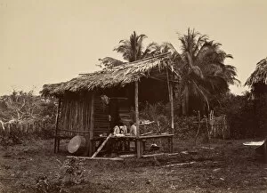 Central America Gallery: Tropical Scenery, Native Hut, Turbo, 1871. Creator: John Moran