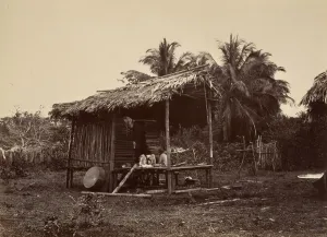 House On Stilts Prints: Tropical Scenery, Native Hut, Turbo, 1871. Creator: John Moran